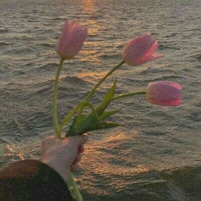 半岛5.0下载官网